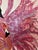 Palm Beach Flamingos - Designed by Cheryl P. Kohloff For Sale In West Palm - Image 6 of 7