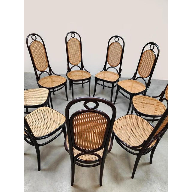 Vintage Dining Chair by Michael Thonet for August Thonet, 1970s For Sale - Image 6 of 8