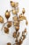 Hollywood Regency Florentine Wall Light from Kögl, 1970s For Sale - Image 10 of 11
