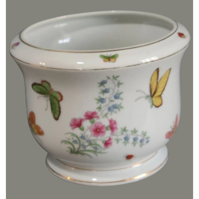 Crafted from delicate porcelain, this jardiniere planter is a testament to classic elegance with a whimsical twist. The...