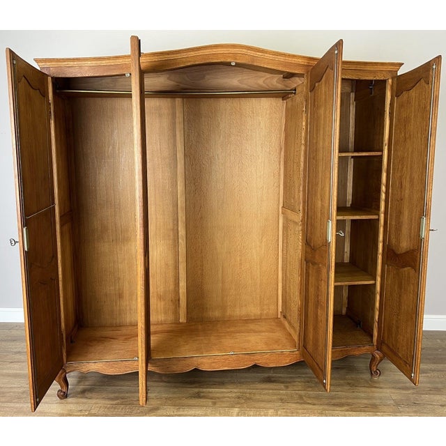 Vintage French Louis XVI Style Wardrobe in Oak For Sale - Image 10 of 11