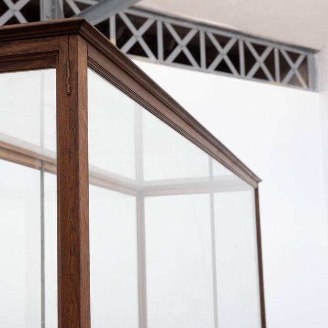 1910s Antique Oak Museum Display Cases, 1910 For Sale - Image 5 of 18