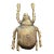 Large Goldtone Metal Beetle Paperweight For Sale