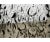 2020s Framed Abstract Herd Impression Acrylic Painting on Canvas For Sale - Image 5 of 5