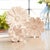 Rustic White Washed Stone Flower Decor (Set of 3) For Sale - Image 3 of 6