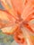 Vintage Oil on Canvas Bold Floral Painting , Framed For Sale - Image 10 of 10