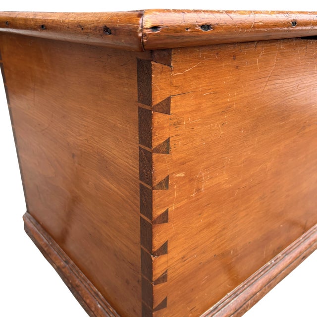 Late 19th Century Late 19th Century English Pine Trunk For Sale - Image 5 of 12