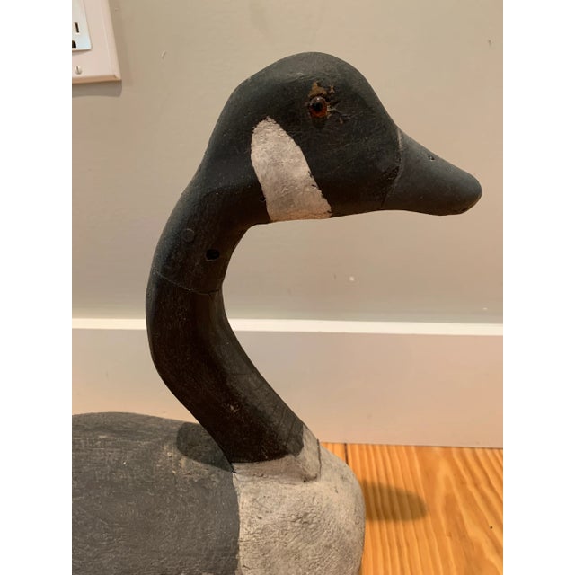 Gorgeous Canadian Goose painted wood decoy. All original paint, and in actual size. Glass eyes. Beautiful rustic carving...