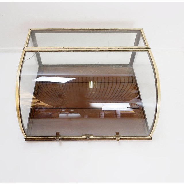 Brown Antique Curved Glass Display Showcase, 1930s For Sale - Image 8 of 16