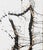 2010s Virginia Dutton Abstract Ink and Acrylic Painting, “Torso” 2015 For Sale - Image 5 of 10