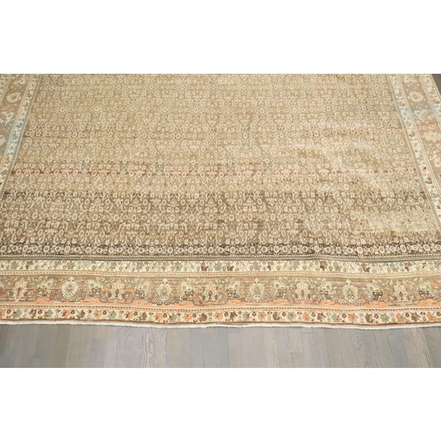 Bidjar Carpet rug no. j4920 For Sale - Image 4 of 11