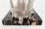 F Coffin, Jack Russell Dog Sculpture, 1920s, Bronze and Marble For Sale - Image 12 of 14