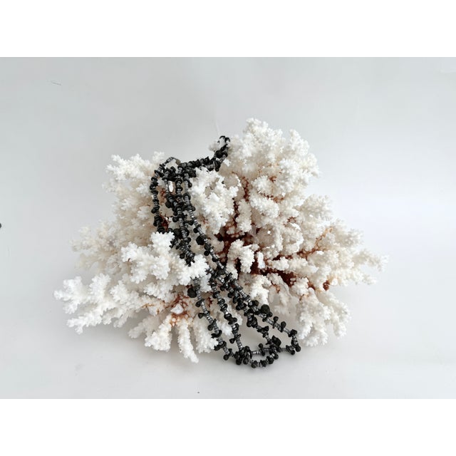 Exceptional Natural Brown Stem Coral Specimen For Sale - Image 4 of 11