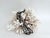 Exceptional Natural Brown Stem Coral Specimen For Sale - Image 4 of 11