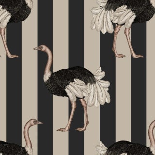 House of Hackney Pride Wallpaper - Clay & Off Black For Sale