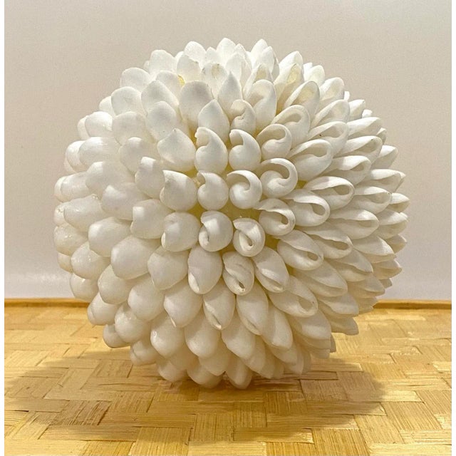 1990s 1997 Sea Shell Decorative Ball, White For Sale - Image 5 of 8