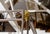 Iron Canopy Bed For Sale - Image 13 of 14