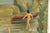 Jules Gaillepand, Lakeside Scene with Nude Figure Swans and Sailboat, 1920s, Oil on Canvas For Sale - Image 8 of 16