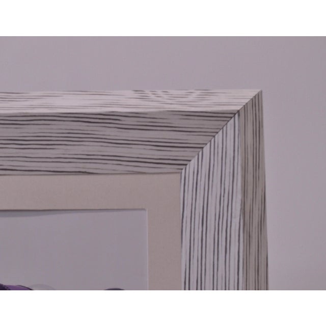 2000 - 2009 Giant Frames Covered in Zebra Wood from Villahomecollection For Sale - Image 5 of 5