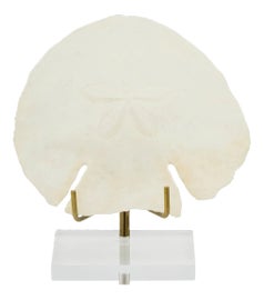 Example of AURA Decorative Objects