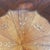 Italian Octagonal Wooden Coffee Table, 1800s For Sale - Image 5 of 18