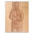 Vintage 1950s Charles Normann Male Sepia Tone Drawing For Sale