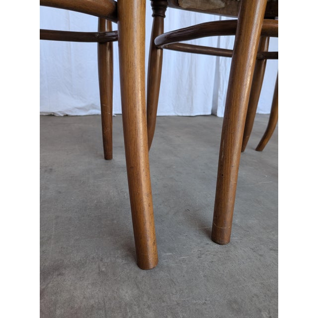 Mid-Century Modern Bentwood Cane Dining Chairs, 1970s, Set of 4 For Sale - Image 10 of 18