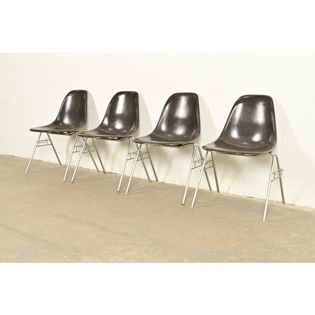 Mid-Century Modern Charles & Ray Eames for Herman Miller DSS Seal Brown Stacking Shell Chairs | Set of Four For Sale - Image 3 of 12