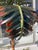 Green Jansen French Tole Life Size Palm Tree Mounted in Tole Planter Hand Painted For Sale - Image 8 of 11
