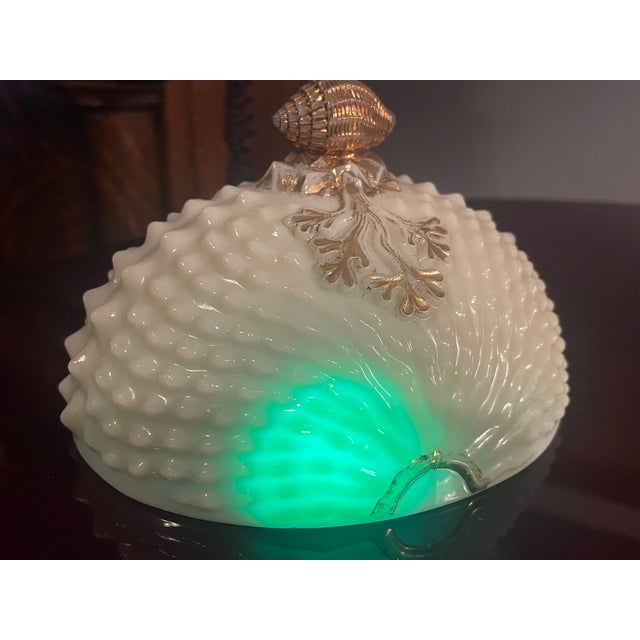 Antique Northwood Glass Company Nautilus (Argonaut Shell) Pattern Custard Glass Covered Butter Dish C. Early 1900's For Sale - Image 17 of 17