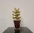Napoleone Martinuzzi, Succulent Plant, 1920s, Glass For Sale - Image 3 of 14