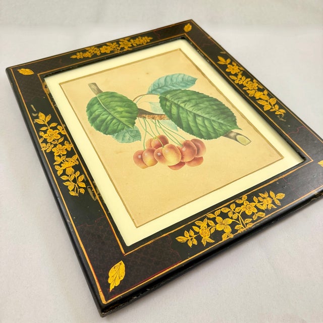 English Regency Period Watercolored Cherry Print in Hand Painted Lacquered Frame For Sale - Image 16 of 16