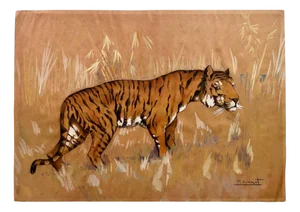 P. Comet, Tiger in the Pampas, Watercolor & Pencil on Paper