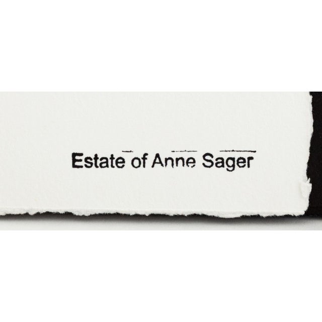 Anne Sager Forest in Fog Color Photograph Print For Sale In New York - Image 6 of 6