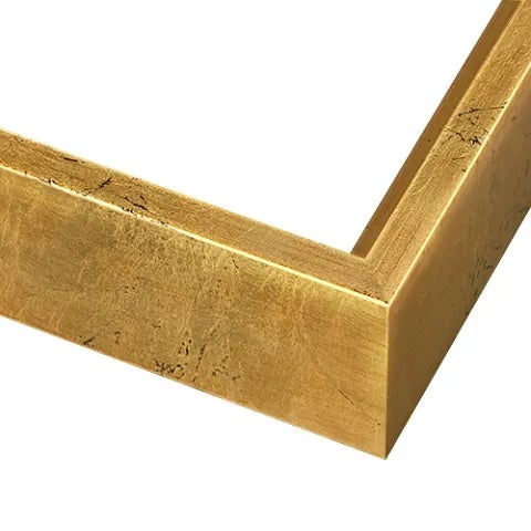 Aqua Halo 'Mauve Halo' Facemount Acrylic Print with a Gold Floater Frame ABOUT THE ARTIST Alejandro Franseschini is an...