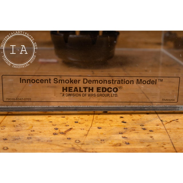 Late 20th Century Health Edco Innocent Smoker Educational Demonstration Model For Sale - Image 17 of 18