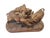 Black Forest Carved Sculpture of Two Warthogs, 1880s For Sale - Image 4 of 12