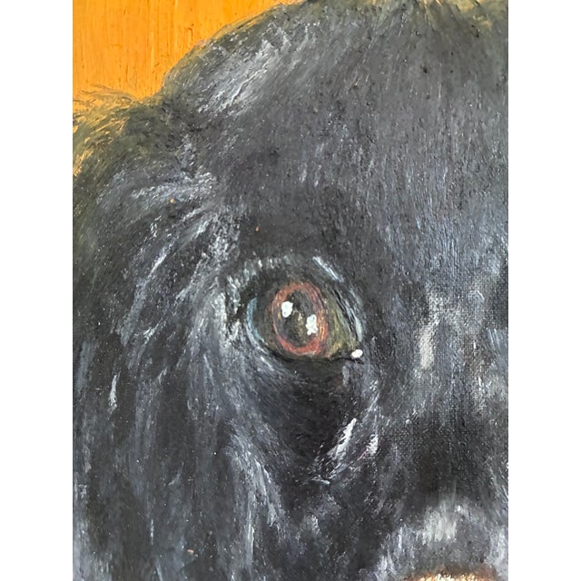 Vintage Original Dog Portrait Oil Paintings - Set of 2 For Sale - Image 13 of 16