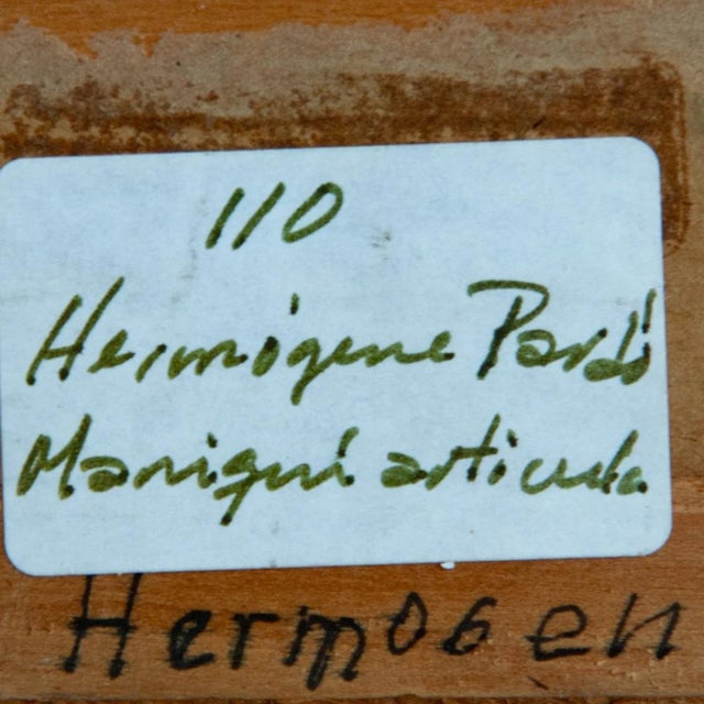 Hermógenes Pardo Ruiz, Articulated Mannequin with Palm Leaf, 1980s, Oil on Canvas For Sale - Image 4 of 6