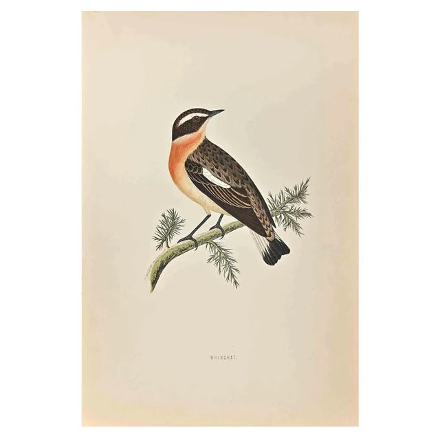 Alexander Francis Lydon, Winchat, Woodcut Print, 1870 For Sale