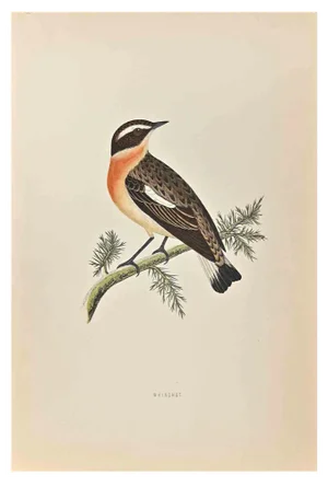 Alexander Francis Lydon, Winchat, Woodcut Print, 1870