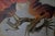 The Angel of the Hearth Poster after Max Ernst For Sale - Image 5 of 10