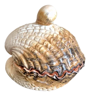 Mid 20th Century Italian Pottery Sea Shell Covered Dish