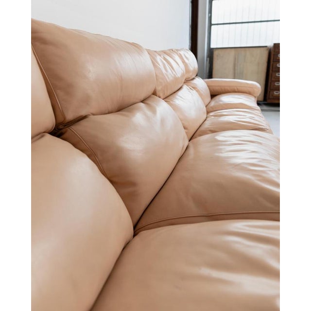 Vintage Petronio 4-6 Seater Sofa in Blush Leather by Tito Agnoli for Poltrona Frau, 1970s For Sale - Image 5 of 13