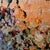 Martta Weg, Autumn in Mostowka (Cycle: The Forest), Oil on Canvas, 2025 For Sale - Image 7 of 10