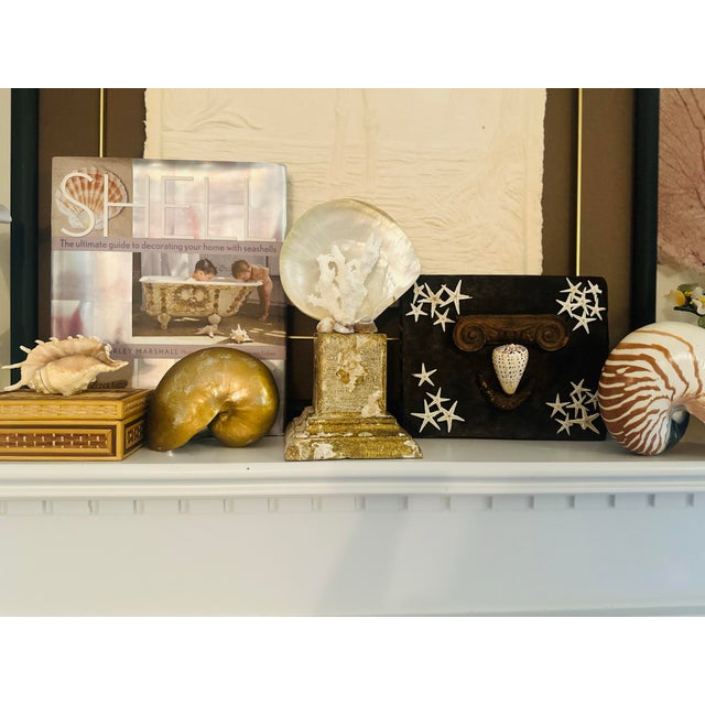 Wood Vintage Wicker Shell Art Box For Sale - Image 7 of 7