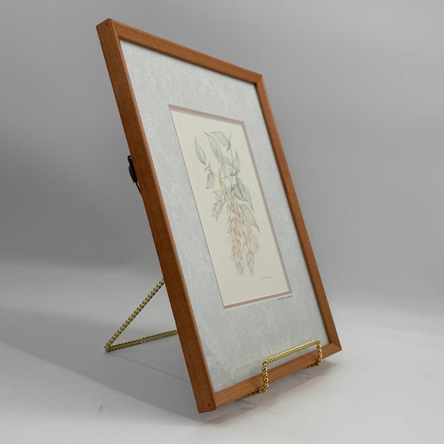 Vintage 1981 botanical portfolio print by Belgian artist Margot Weemaes (1909–1993), depicting Beloperone guttata,...