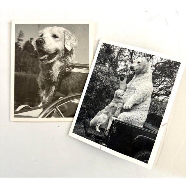 Pair of personally inscribed and signed Bruce Weber holiday cards sent directly to the original recipient, a friend of the...