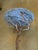 Early 20th Century Brutalist-Style Branch-Like Legs Metal Accent Table Brutalist-Style Branch Accent Table in the Style of Diego Giacometti For Sale - Image 5 of 6