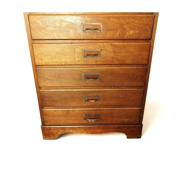 Brown Mid-Century Danish Oak Archive Cabinet with Pull-Out Shelf, 1920s For Sale - Image 8 of 16